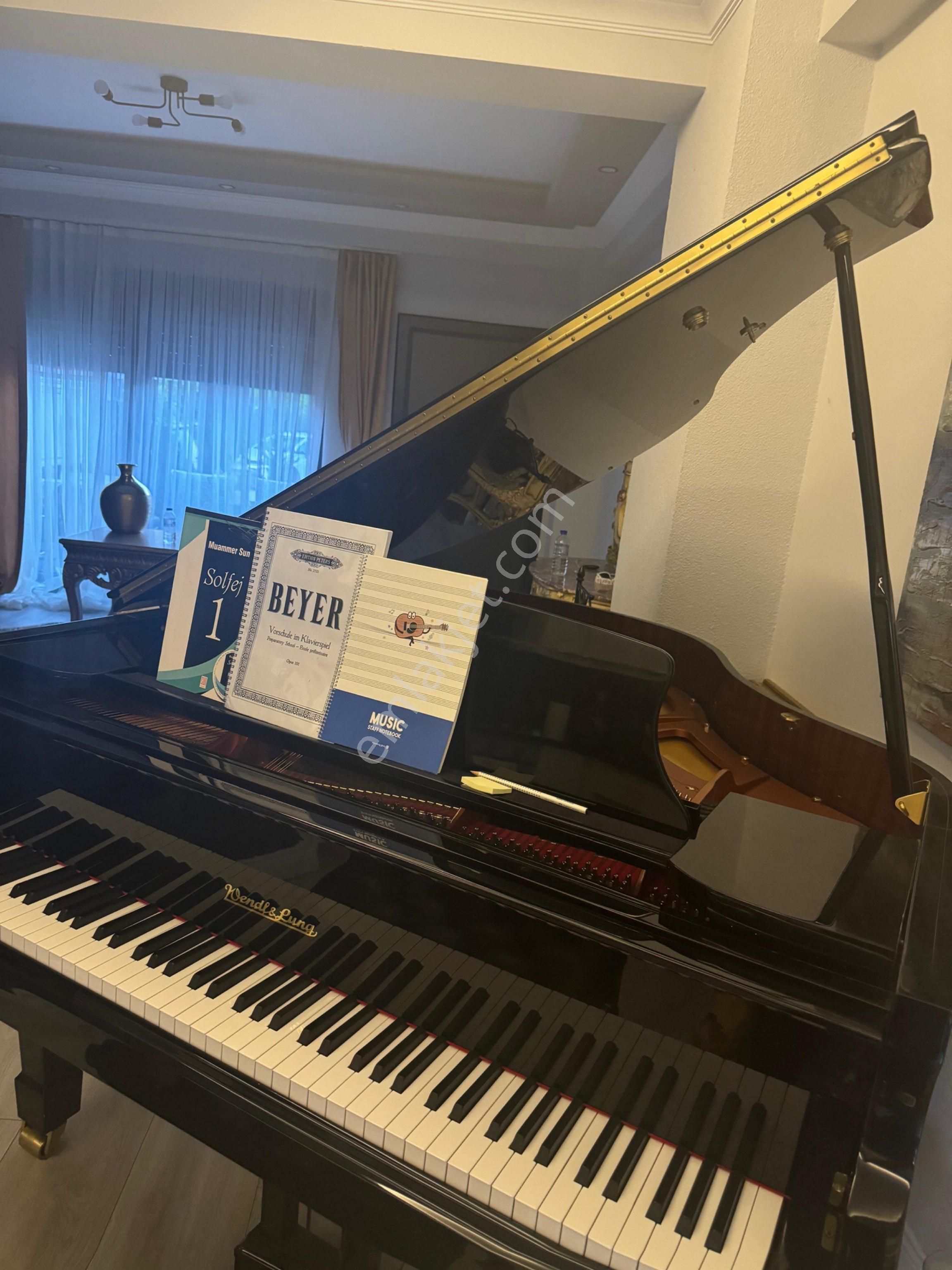 Karasuda Denize Yakın Haylinizdeki Muhteşem Villa - Görsel 15