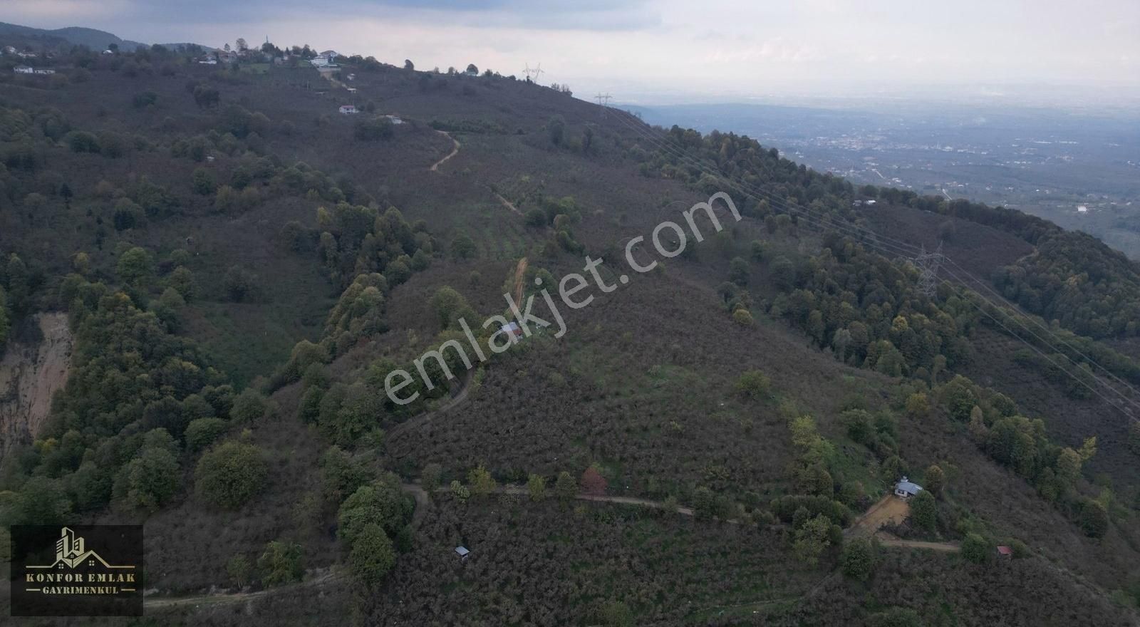 Karapürçek Ahmediye Satılık Tarla Konfor Emlaktan Ahmediye Mahallesinde Yatırımlık Fındık Bahçesi