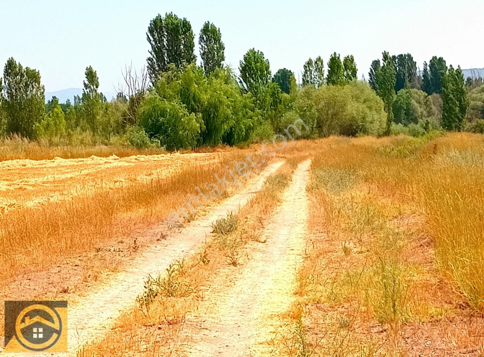 Seydişehir Bahçelievler Satılık Tarla Ekon,dan Seydişehir Merkeze 8 Km Mesafede Yolu Olan Müstakil