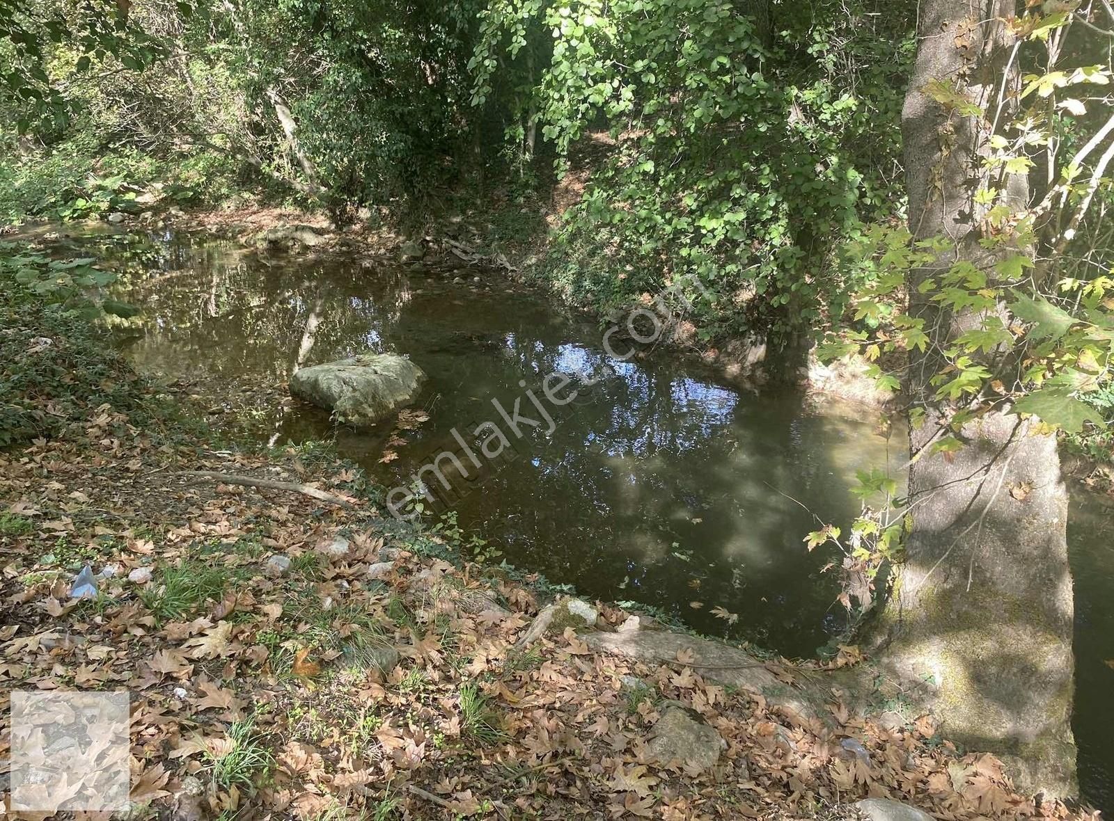 Yenişehir Günece Satılık Tarla Günece Köyünde Dere Kenarı Arazi