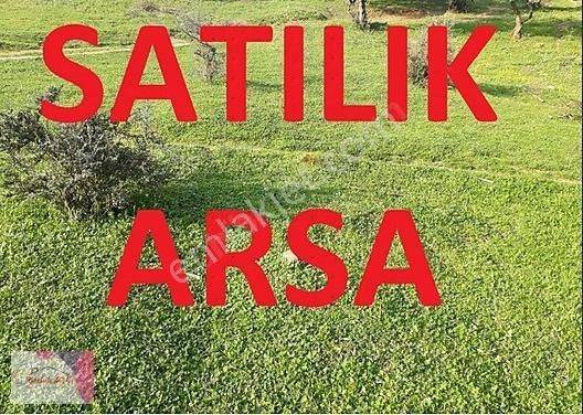 Kepez Kirişçiler Satılık Tarla ️emlak Aşkı Gayrimenkulden Satılık Arsa️