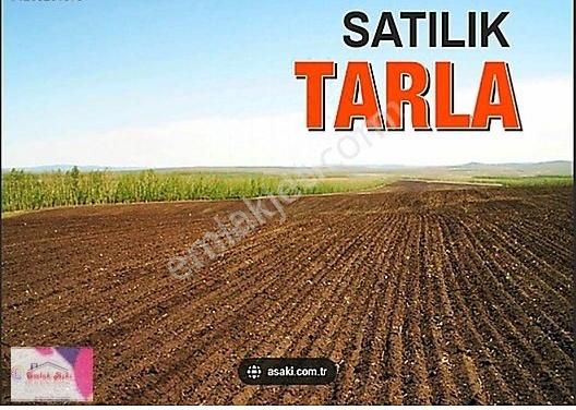 Kepez Kızıllı Satılık Tarla ️emlak Aşkından Satılık Tarla️