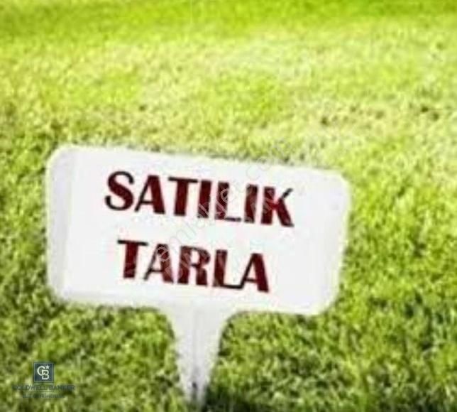 Akyurt Balıkhisar Satılık Tarla Ankara Akyurt Balıkhisar Da 25.000 M2 Satılık