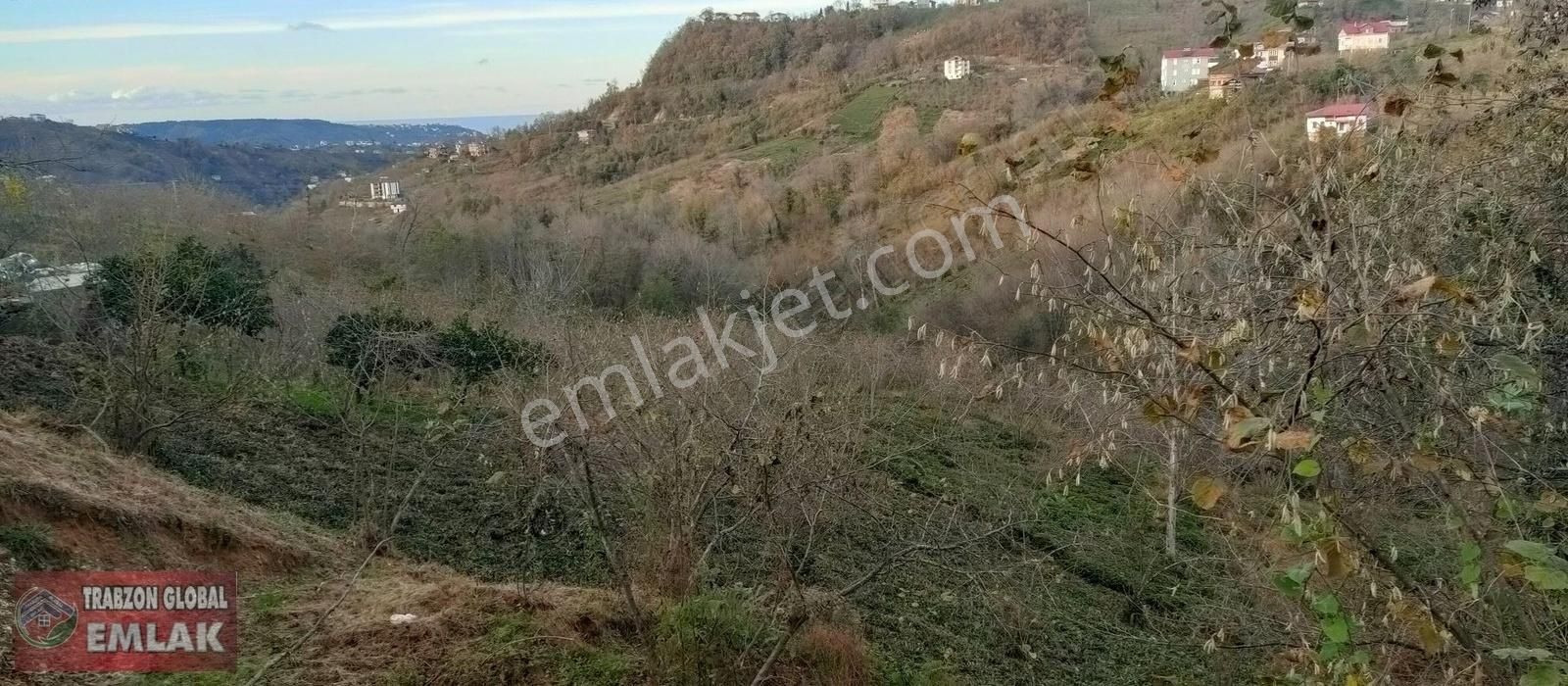 Sürmene Petekli Satılık Muhtelif Arsa Sürmene Petekli Yol Kenarın Da Satılık Deniz Manzaralı Arazi