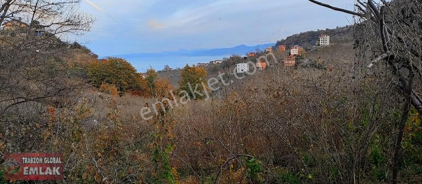 Sürmene Çavuşlu Da Sahil Yoluna Çok Yakın Satılık Mükemmel Arazi - Görsel 9