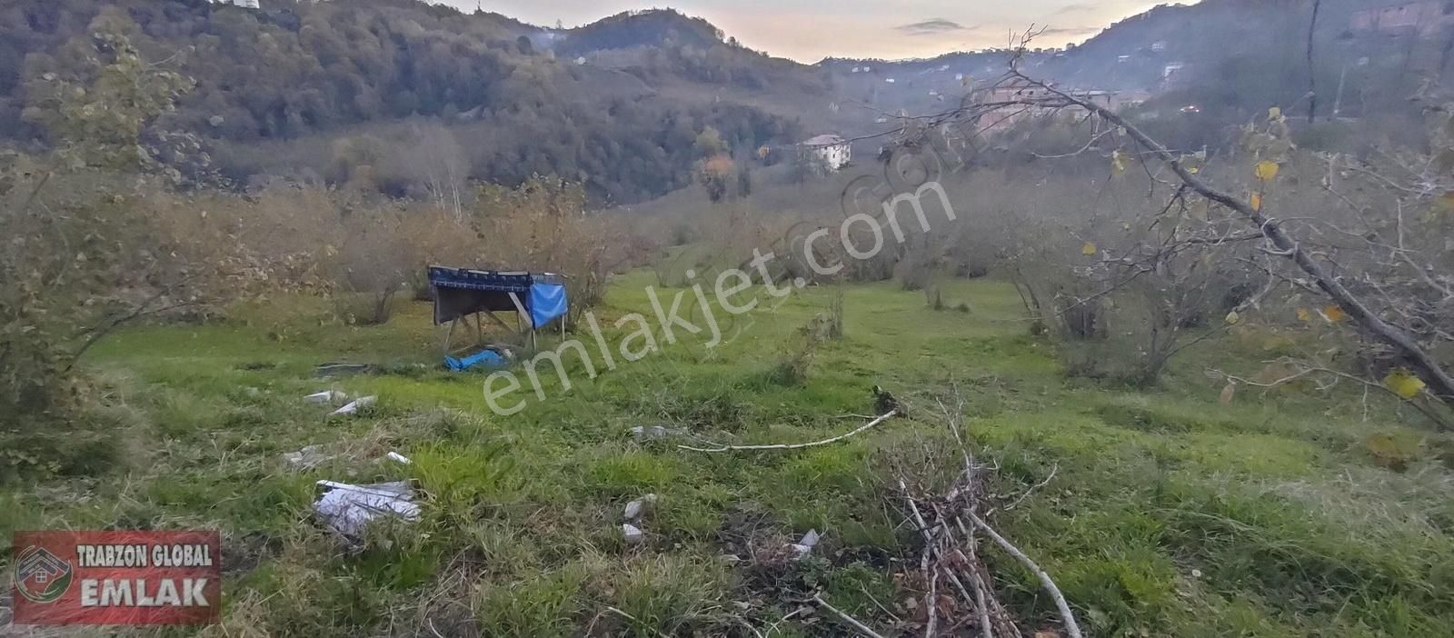 Sürmene Çavuşlu Da Sahil Yoluna Çok Yakın Satılık Mükemmel Arazi - Görsel 15