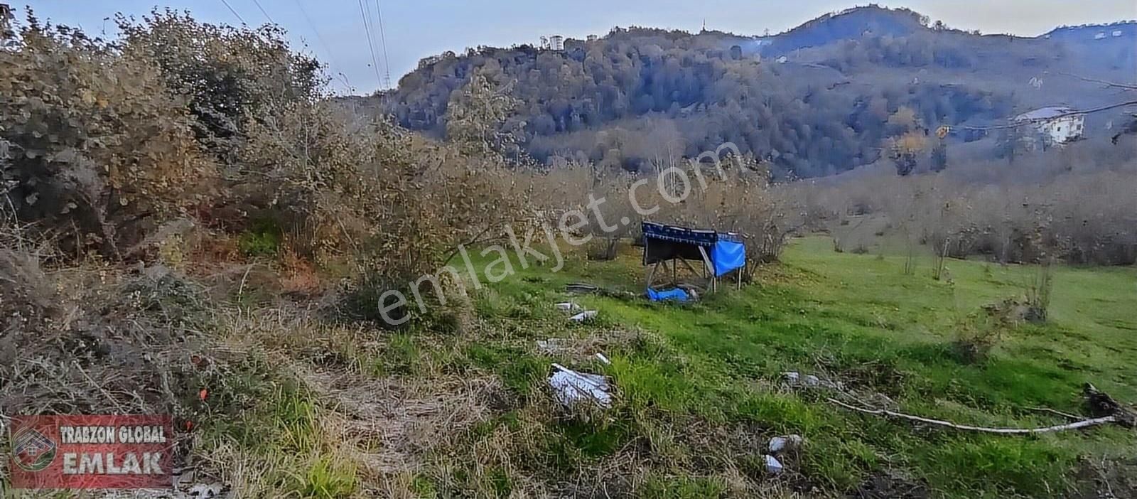 Sürmene Çavuşlu Da Sahil Yoluna Çok Yakın Satılık Mükemmel Arazi - Görsel 21