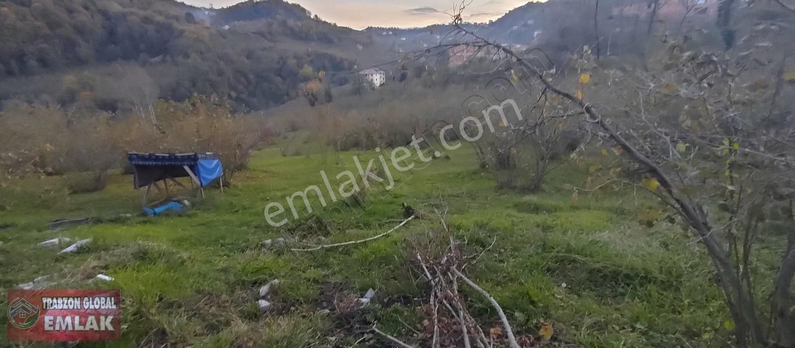 Sürmene Çavuşlu Da Sahil Yoluna Çok Yakın Satılık Mükemmel Arazi - Görsel 25