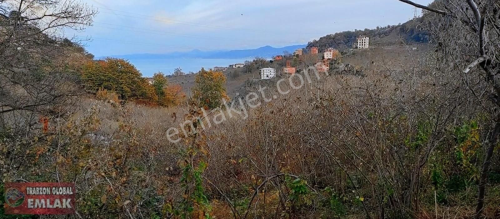 Sürmene Çavuşlu Da Sahil Yoluna Çok Yakın Satılık Mükemmel Arazi - Görsel 29