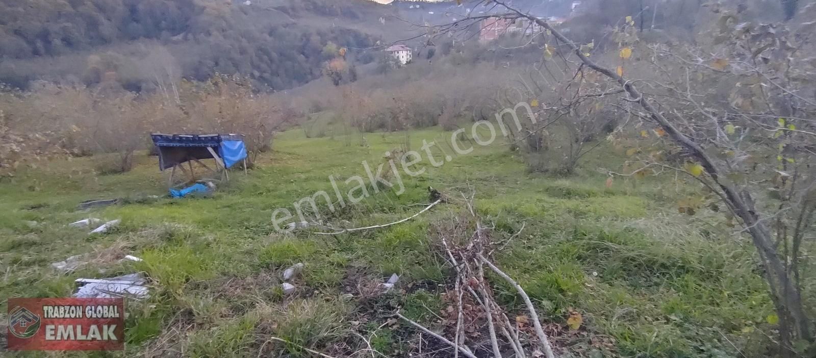 Sürmene Çavuşlu Da Sahil Yoluna Çok Yakın Satılık Mükemmel Arazi - Görsel 33