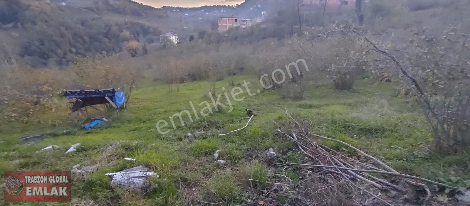 Sürmene Çavuşlu Da Sahil Yoluna Çok Yakın Satılık Mükemmel Arazi - Görsel 19