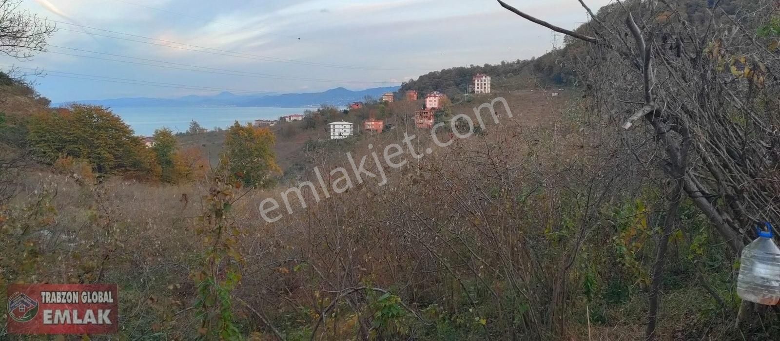 Sürmene Çavuşlu Da Sahil Yoluna Çok Yakın Satılık Mükemmel Arazi - Görsel 23