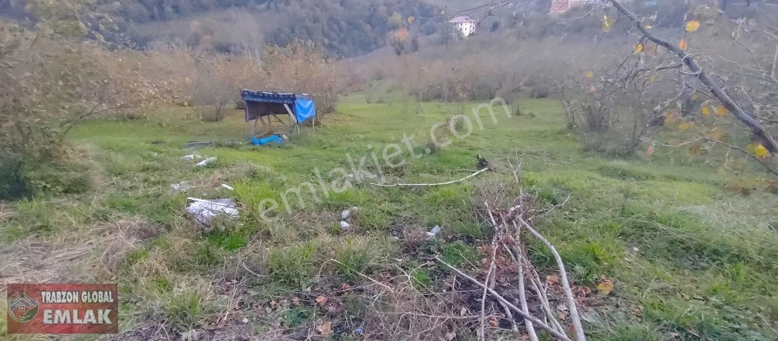 Sürmene Çavuşlu Da Sahil Yoluna Çok Yakın Satılık Mükemmel Arazi - Görsel 12