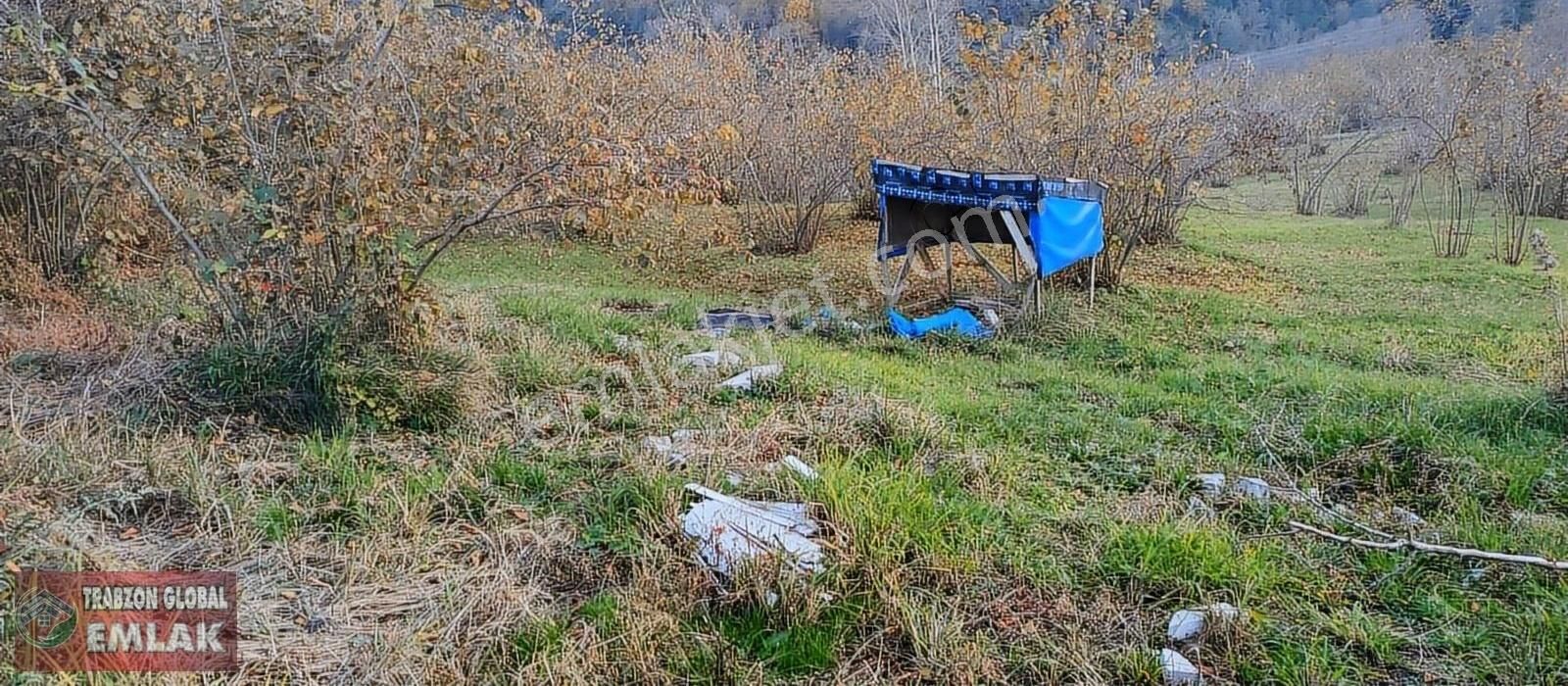 Sürmene Çavuşlu Da Sahil Yoluna Çok Yakın Satılık Mükemmel Arazi - Görsel 11