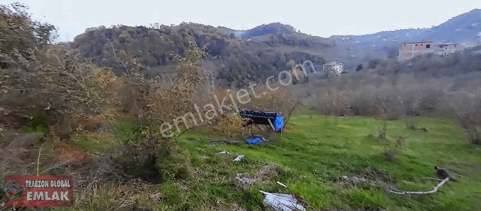 Sürmene Çavuşlu Da Sahil Yoluna Çok Yakın Satılık Mükemmel Arazi - Görsel 13