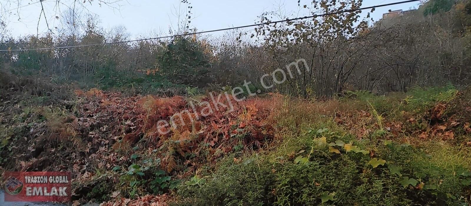 Sürmene Çavuşlu Da Sahil Yoluna Çok Yakın Satılık Mükemmel Arazi - Görsel 22