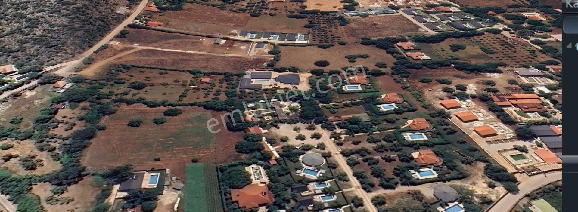 Goldhouse Dan Satılık Tarla Doğa Manzaralı Mükemmel Fırsat - Görsel 4