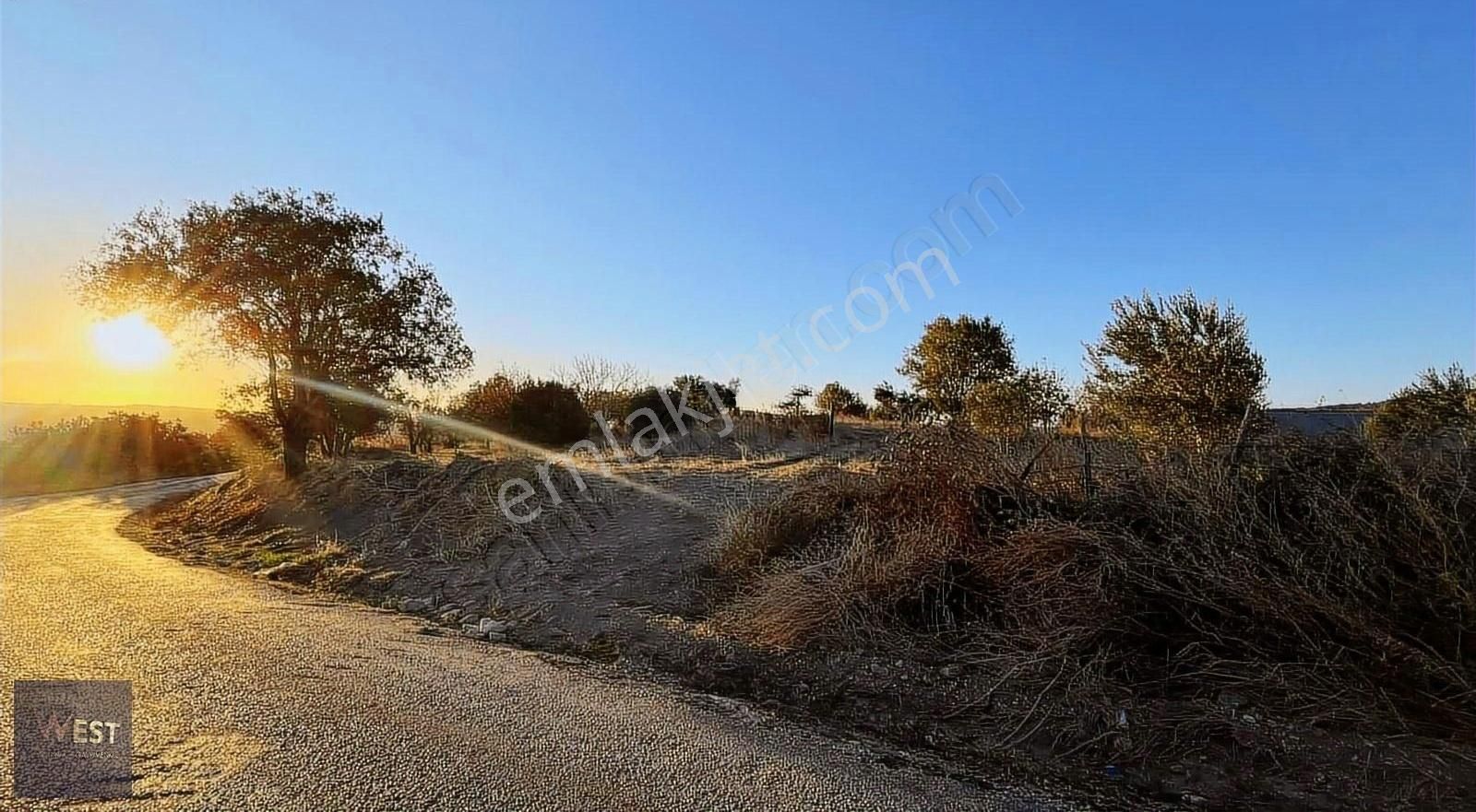 Çanakkale Merkez Yağcılar Köyü Satılık Tarla Çanakkale Merkez Yağcılar Köyünde Asfalt Yola Cephe Hisse