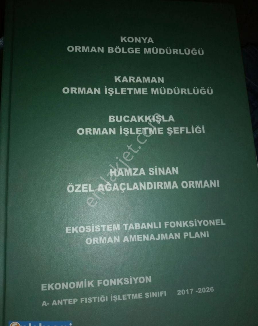 Karaman Merkez Aşağıakın Köyü Satılık Tarla Aysanoğlu Gayrimenkul'den Orman Dairesinden Kiralanmış Satılık Antep Fıstığı Projeli Tarla