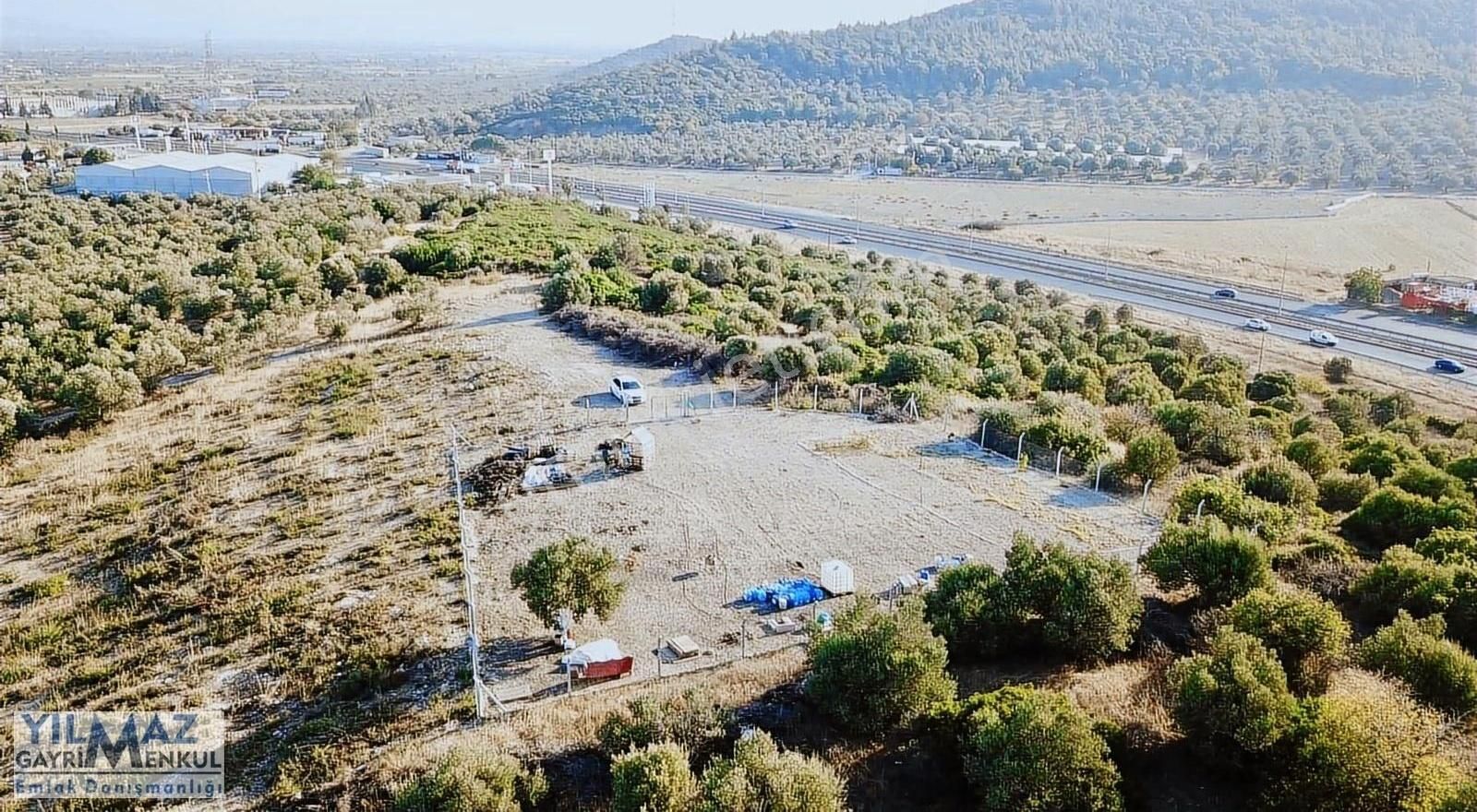 Ç.kale Yoluna Yakın Yatırımlık 8.300 M² Satılık Zeytinlik - Görsel 24