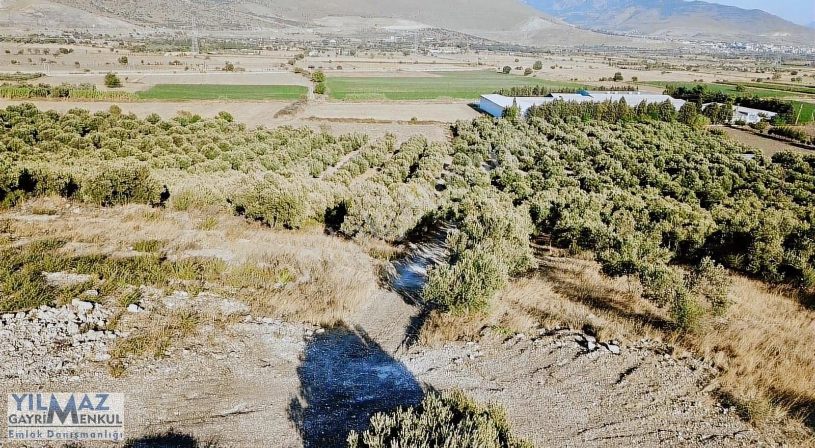 Ç.kale Yoluna Yakın Yatırımlık 8.300 M² Satılık Zeytinlik - Görsel 21