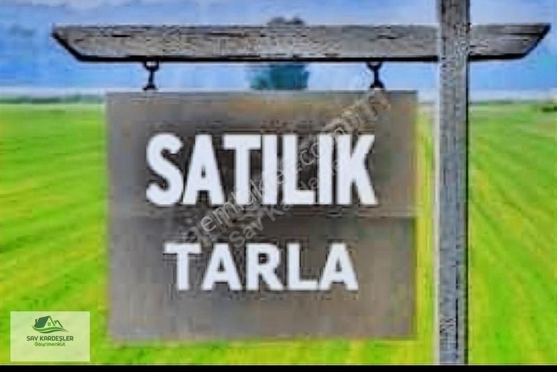 Beyşehir Sadıkhacı Satılık Tarla Beyşehir De Satılık 2.125 M2 Satılık Tarla