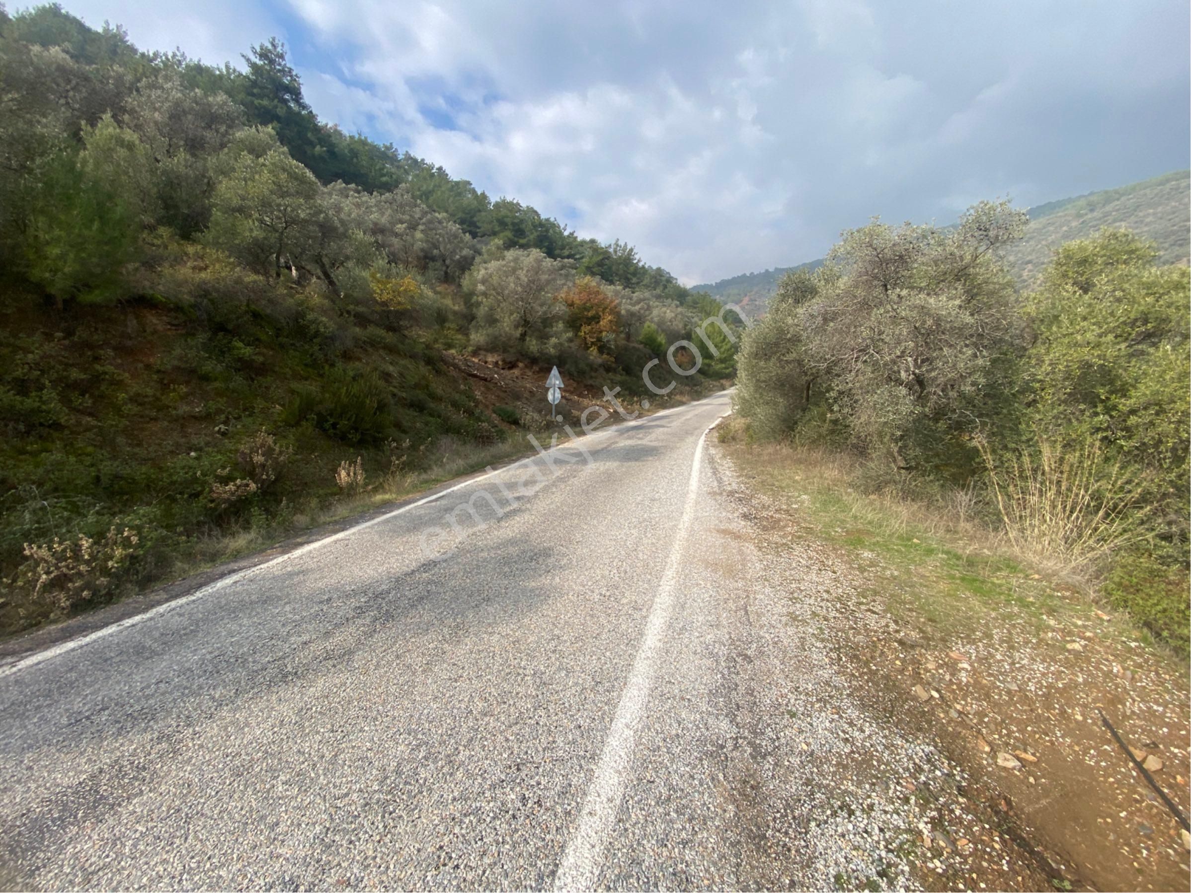 Bayındır Ergenli Satılık Zeytinlik Bayındır Ergenli Asfalt Yol Kenarı Kaplıcalar Bölgesinde Eshot Toplu Ulaşım