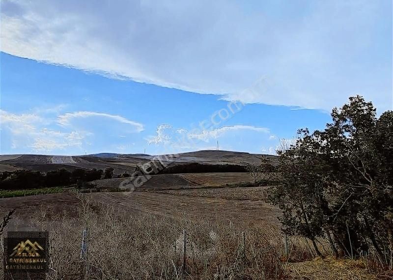 Silivri Büyük Kılıçlı Satılık Tarla Silivri Büyükkılıçlı'da İmar Sınırında 3680m2 Acil Satılık Arsa