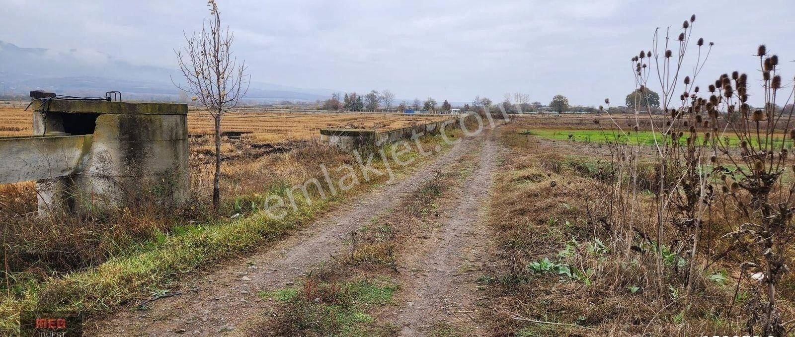 Gönen Tırnova Satılık Tarla Tırnova Mah. Güneşli Yanında Satılık Mükemmel Konumda Tarla