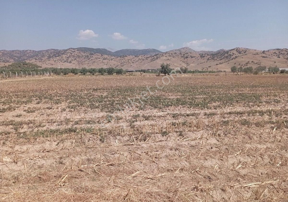 Ödemiş Kurucuova Satılık Tarla Atlantik Gayrimenkul Den Ana Cadde Üstü Satılık Tarla