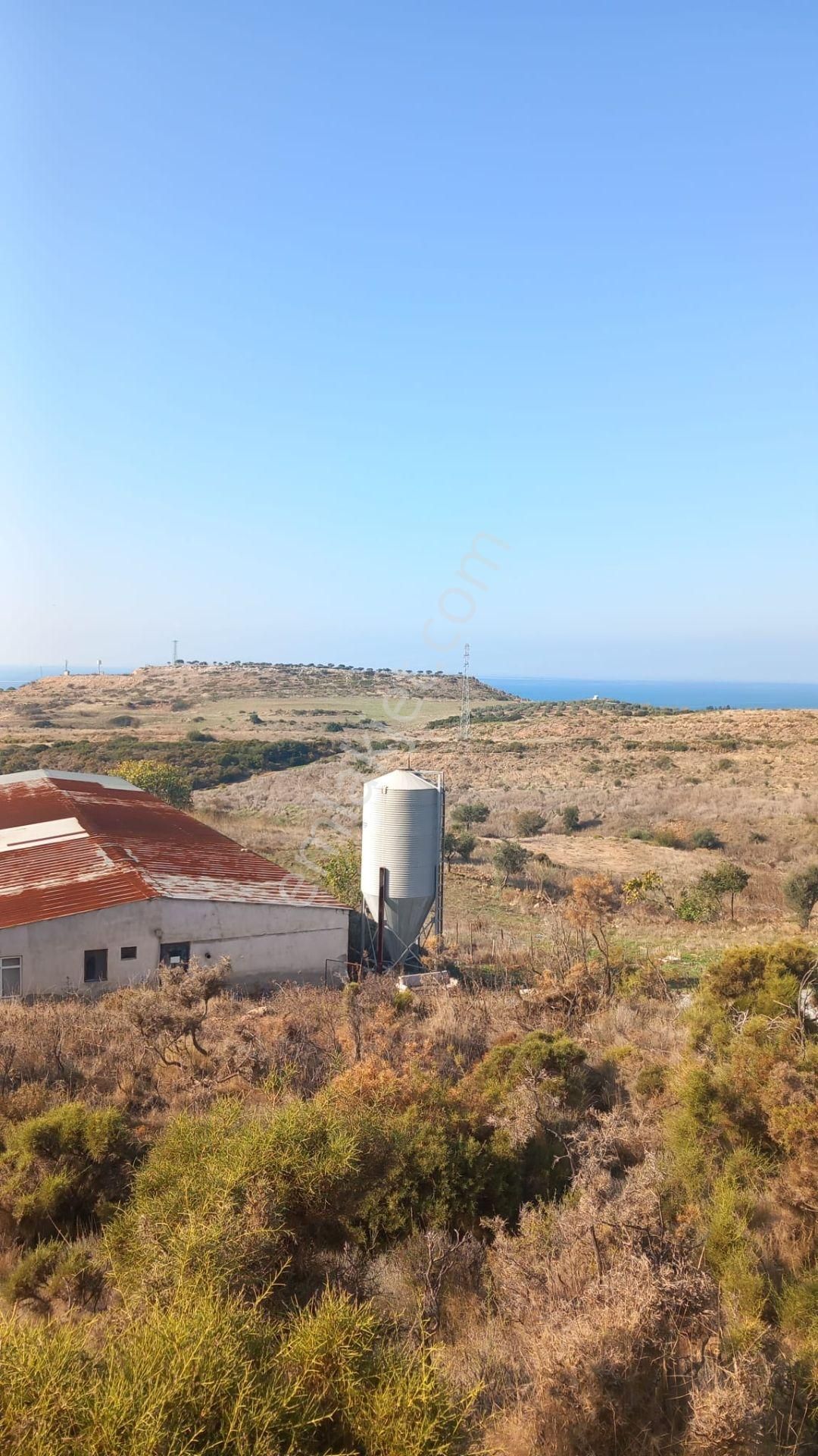 Didim Yalıköy Satılık Tarla Aydın Didim Yalıköy'de Full Deniz Manzaralı Elektriği Mevcut Düz Zemin 26.400m2