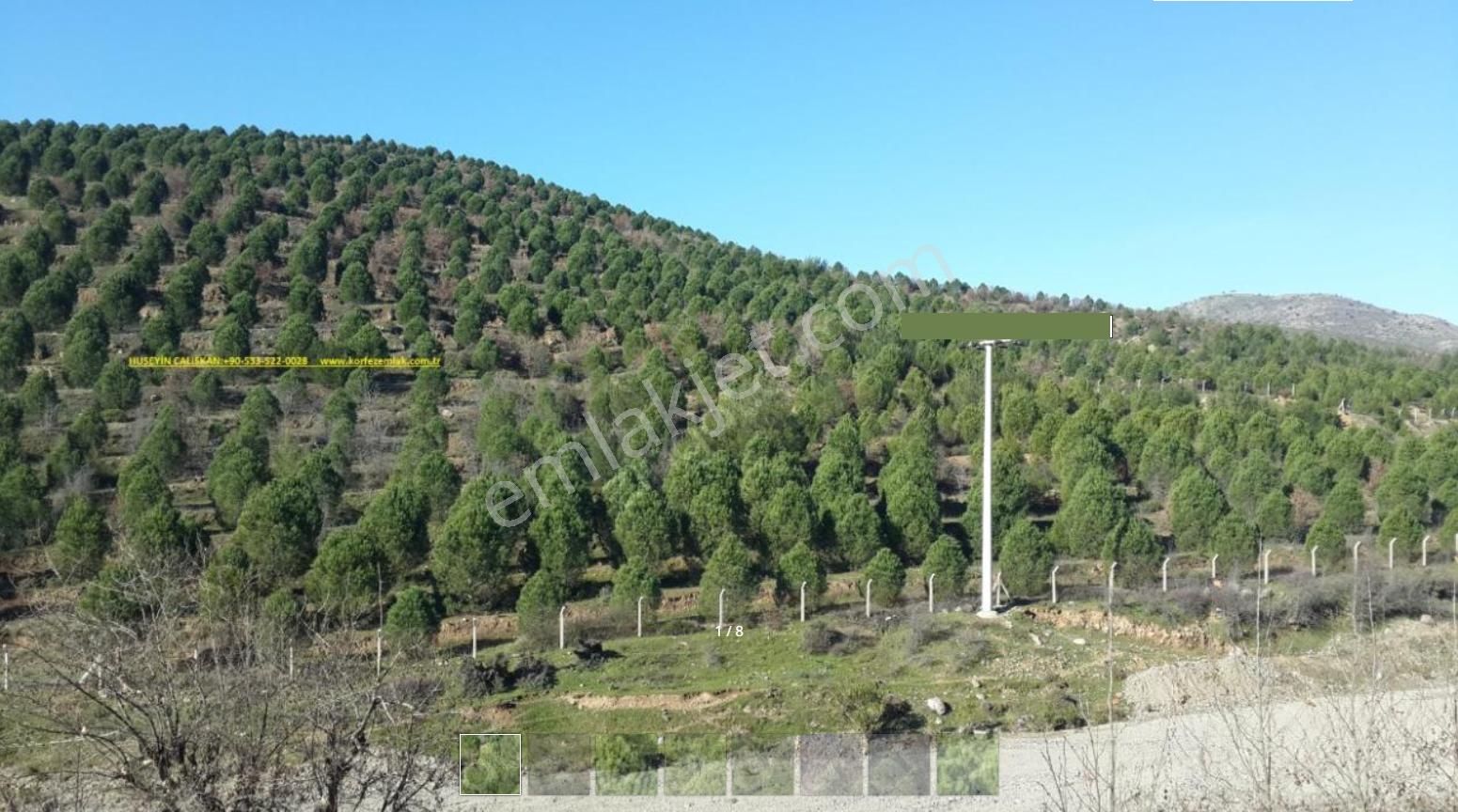 Ayvalık Hacıveliler Satılık Muhtelif Arsa Balıkesir Ayvalık Ta Satılık 366 Dönüm Çam Fıstıklık Tarlası