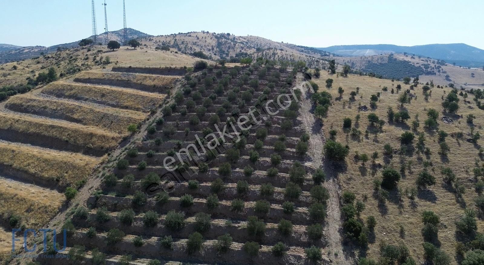 Alaşehir Soğanlı Satılık Zeytinlik Manisa Alaşehir'de Satılık Muhteşem Arsa