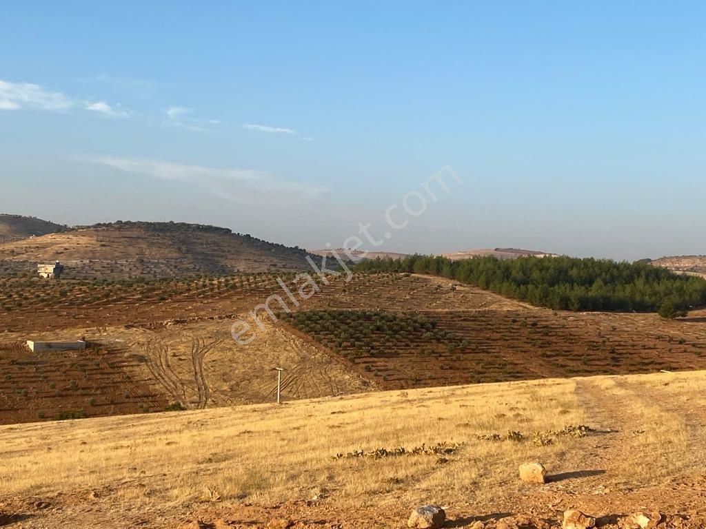 Şehitkamil Bilek Satılık Tarla Bilek'de Bağ Evlik Yatırımlık Uygun Arazi