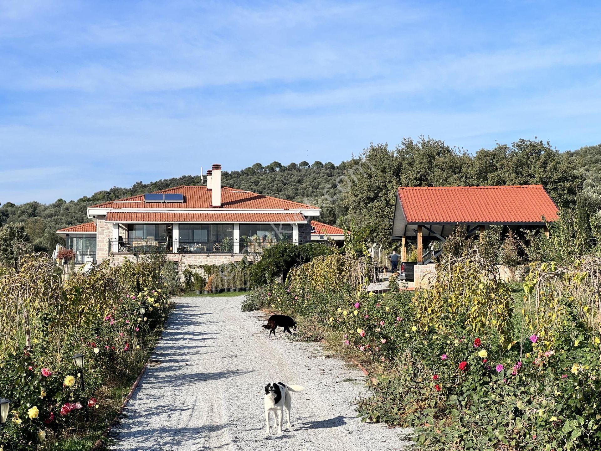 Burhaniye Şahinler Satılık Çiftlik Evi Balıkesir Burhaniye Şahinler De Satılık Muhtesem Modern Ciftlikevi