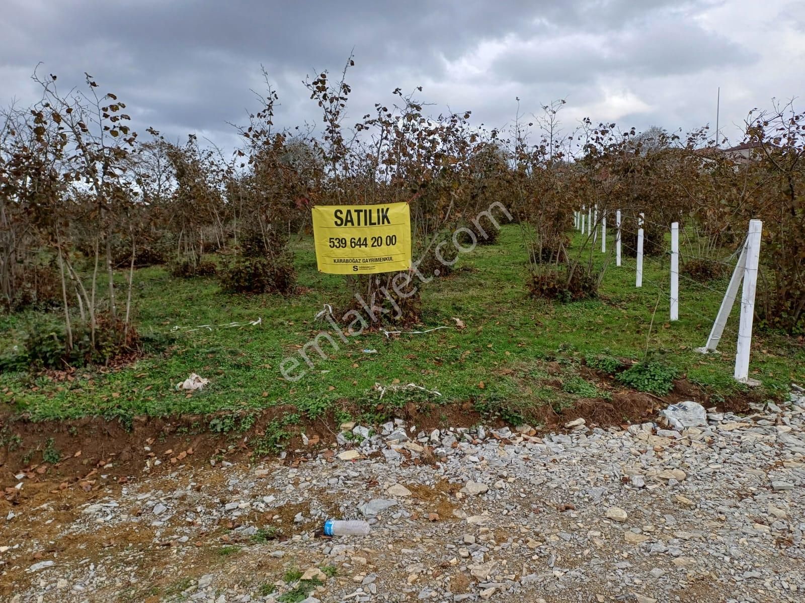 Kaynarca Yeşilova Satılık Tarla Karaboğaz Emlak`tan Kupon Parsel