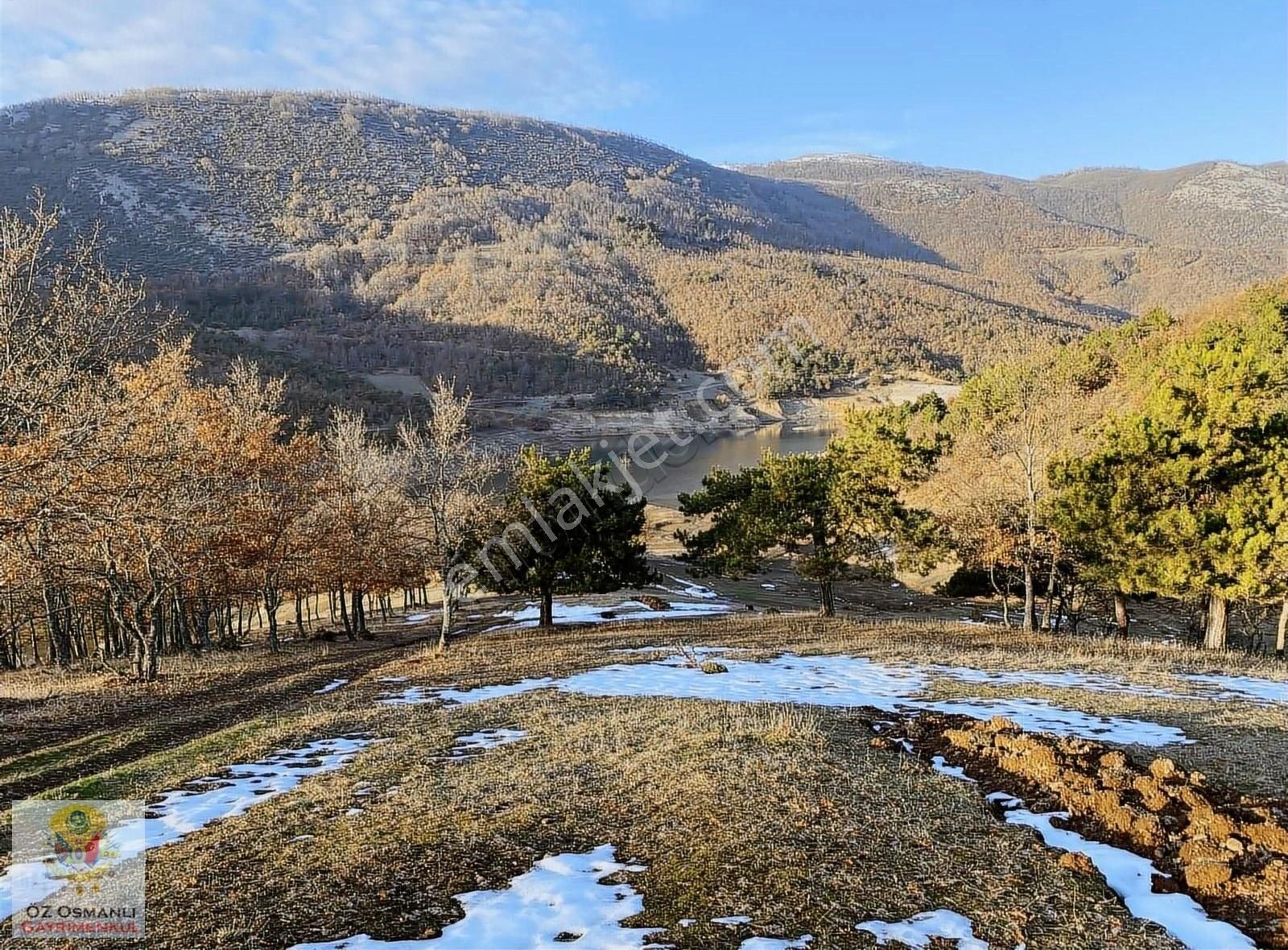 Osmaneli Oğulpaşa Köyü (Merkez) Satılık Tarla Muteşem Gölet Manzaralı 7.390 M2 Satılık Tarla