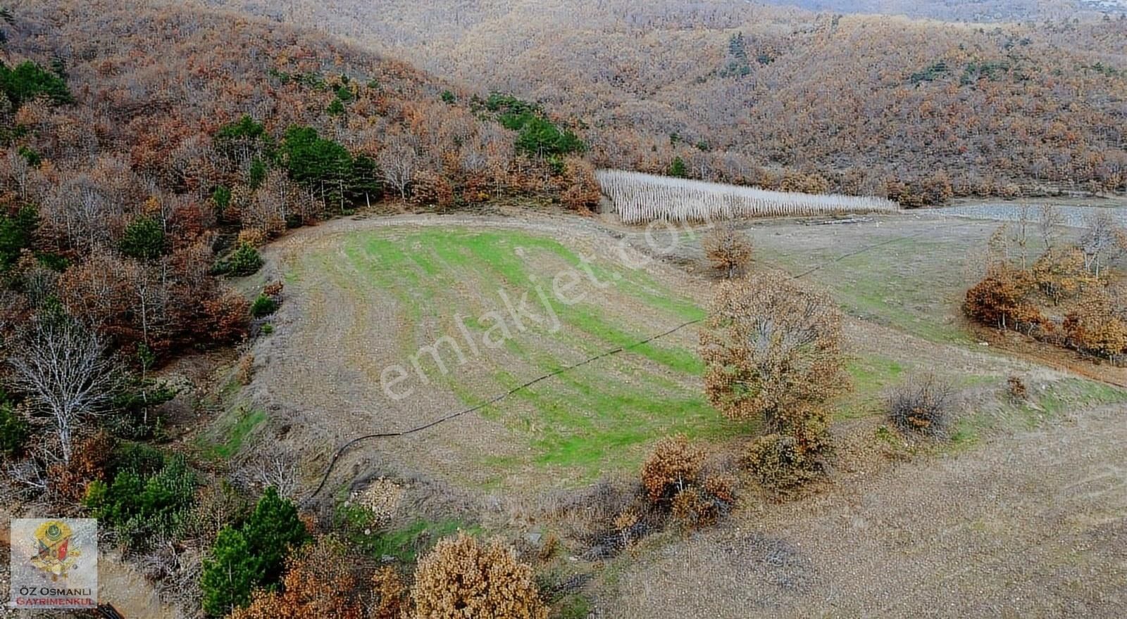 Osmaneli Oğulpaşa Köyü (Merkez) Satılık Tarla Oğulpaşa Şenlik Alanında 7 Dönüm Manzaralı Araç Takaslı Arazi