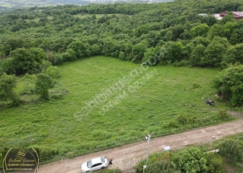 Kandıra Çalköy Satılık Bağ & Bahçe Sahile Yakın Orman Kenarı Yer