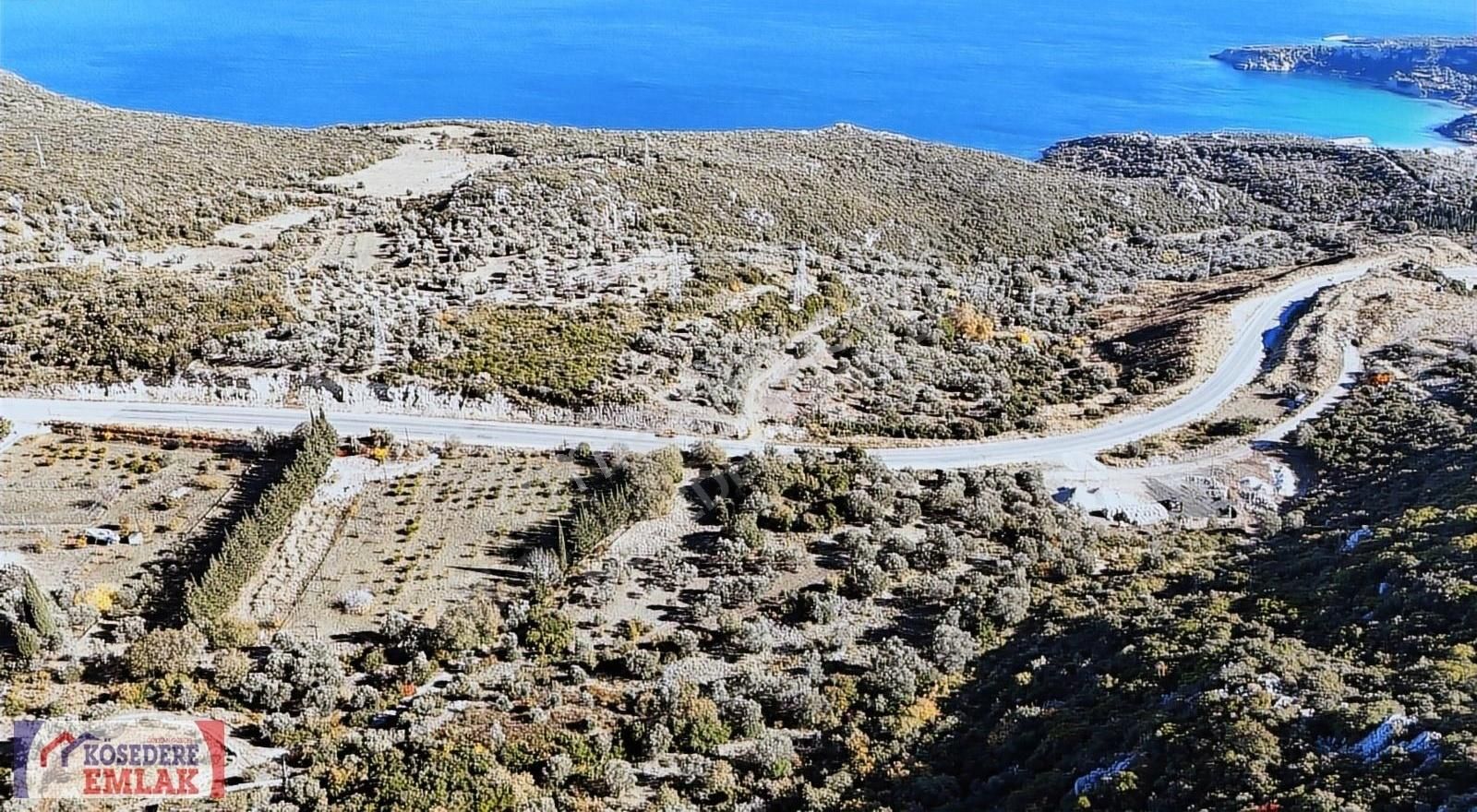 Karaburun Anbarseki Satılık Tarla İzmir Karaburun Anbarseki Mevki Anayola Cepheli Deniz Manzaralı