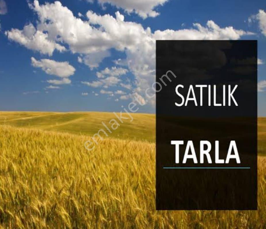 Güney Ortaçeşme Satılık Tarla Güneyde Acil Satılık 14 Dönüm Tarla