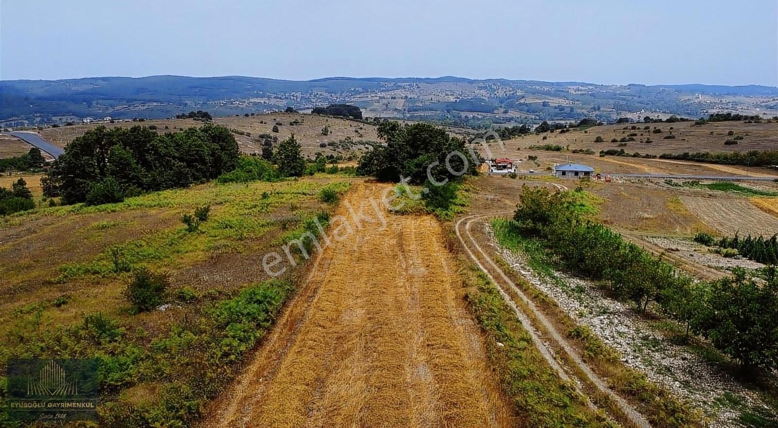 Kandıra Ağaçağıl Satılık Tarla Ağaçağılda Asfalta Bir Parsel Ruhsata Uygun Tarla