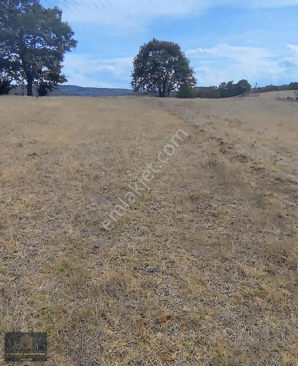 Bilecik Merkez Çavuşköy Köyü Satılık Tarla Bilecik Merkez Çavuşköy 3531m2, Müstakil Tapu, Harika Lokasyon.