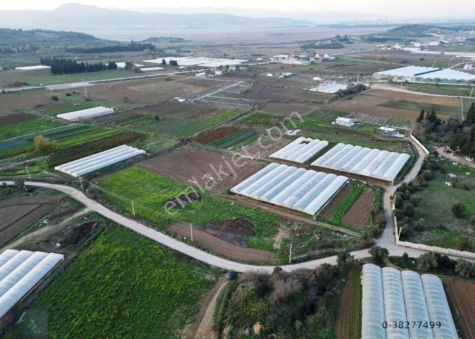 Menderes Çatalca Satılık Tarla Menderes Sancaklı Satılık Tarla 1/2 Hisseli 11.000m2 Sorunsuz