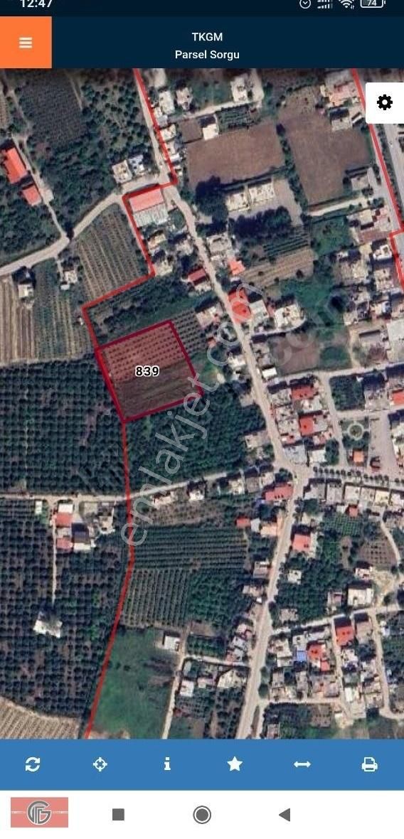 Yüreğir Havutlu Satılık Tarla Havutluda 4000 M2 Etrafı Çevrili