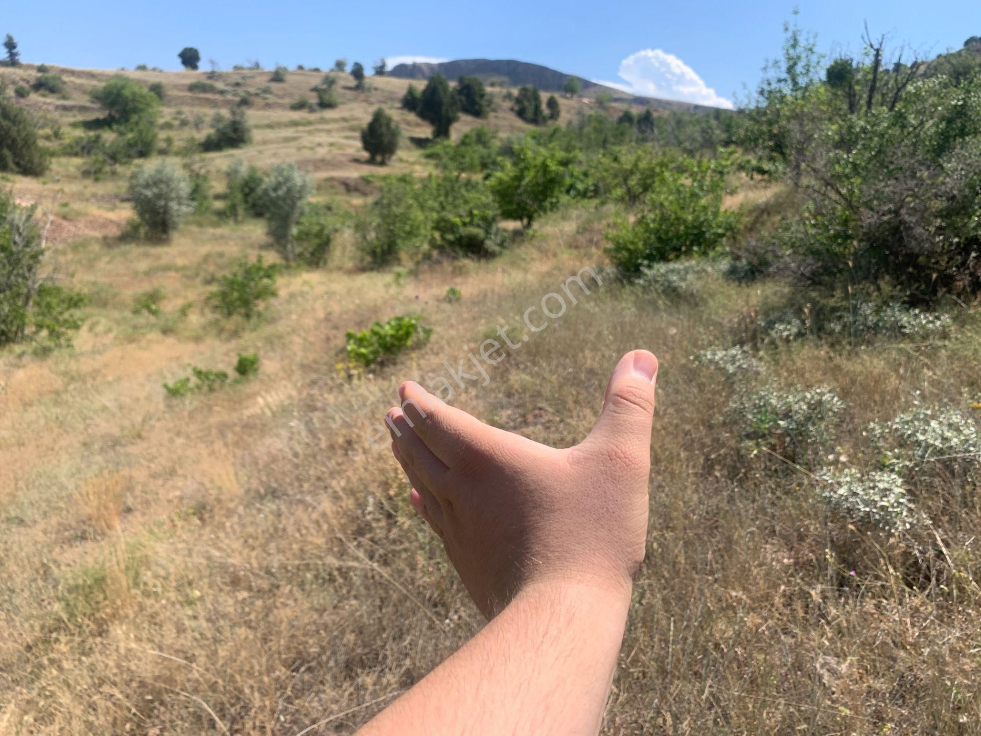 Konya Bozkır Hacılar Köyünde 236 M2 Bağ Satılıktır.
