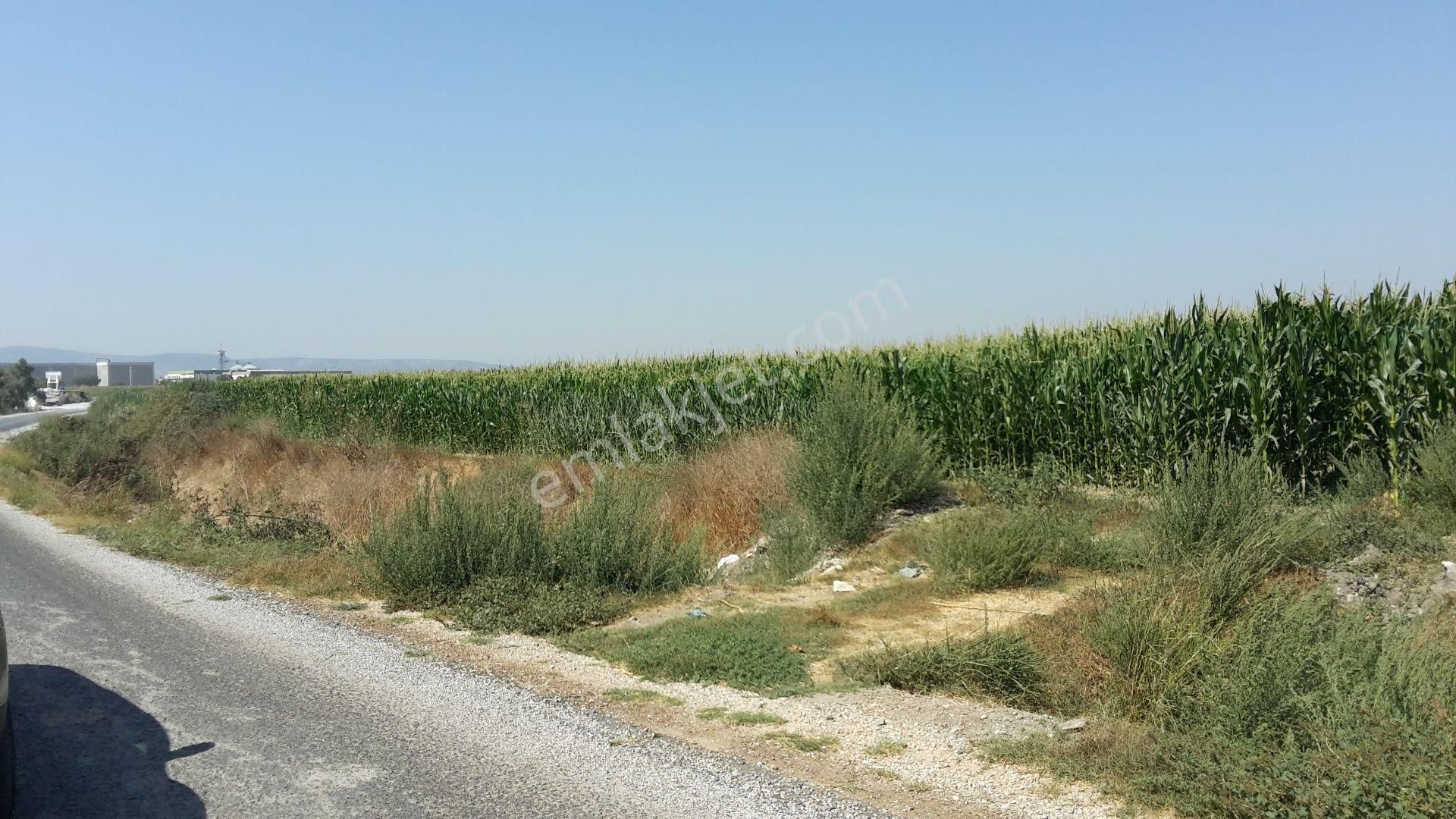 Torbalı Çaybaşı Satılık Tarla Torbalı Emlak' Tan Çaybaşı Mah. Yatırımiçin Uygun 5.000m2müstakil Parsel Arazimiz Satılıktır