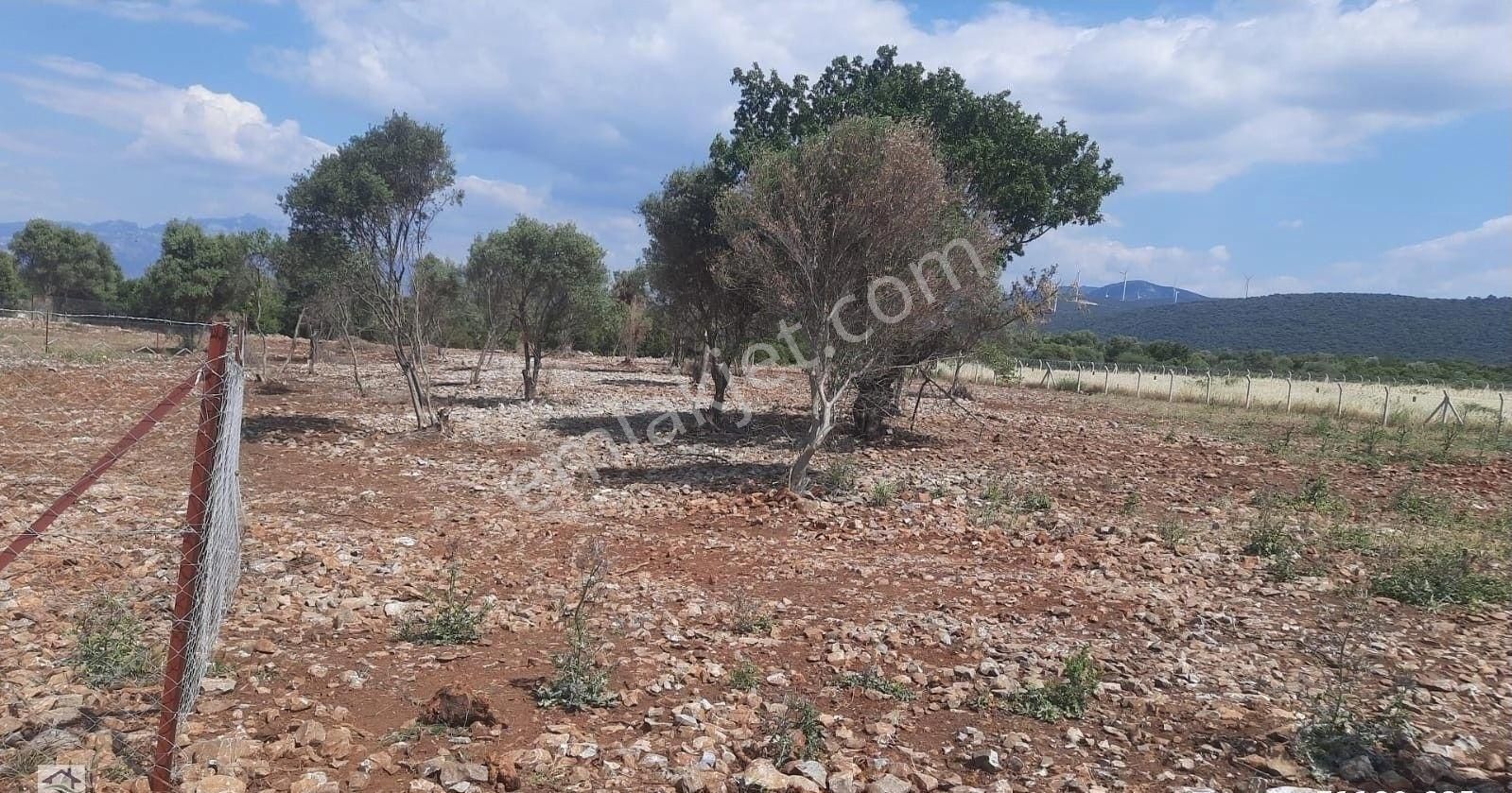 Didim Ak Yeniköy Satılık Muhtelif Arsa Didim Bozseki Bölgesinde Doğa Ve Göl Manzaralı Hobi Bahçesi