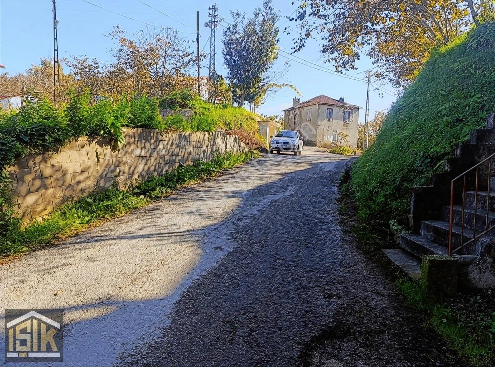 Giresun Merkez Kayadibi Satılık Bağ & Bahçe Işık// Kayadibi Mahallesinde Satılık 5 Dönüm Fındık Bahçesi