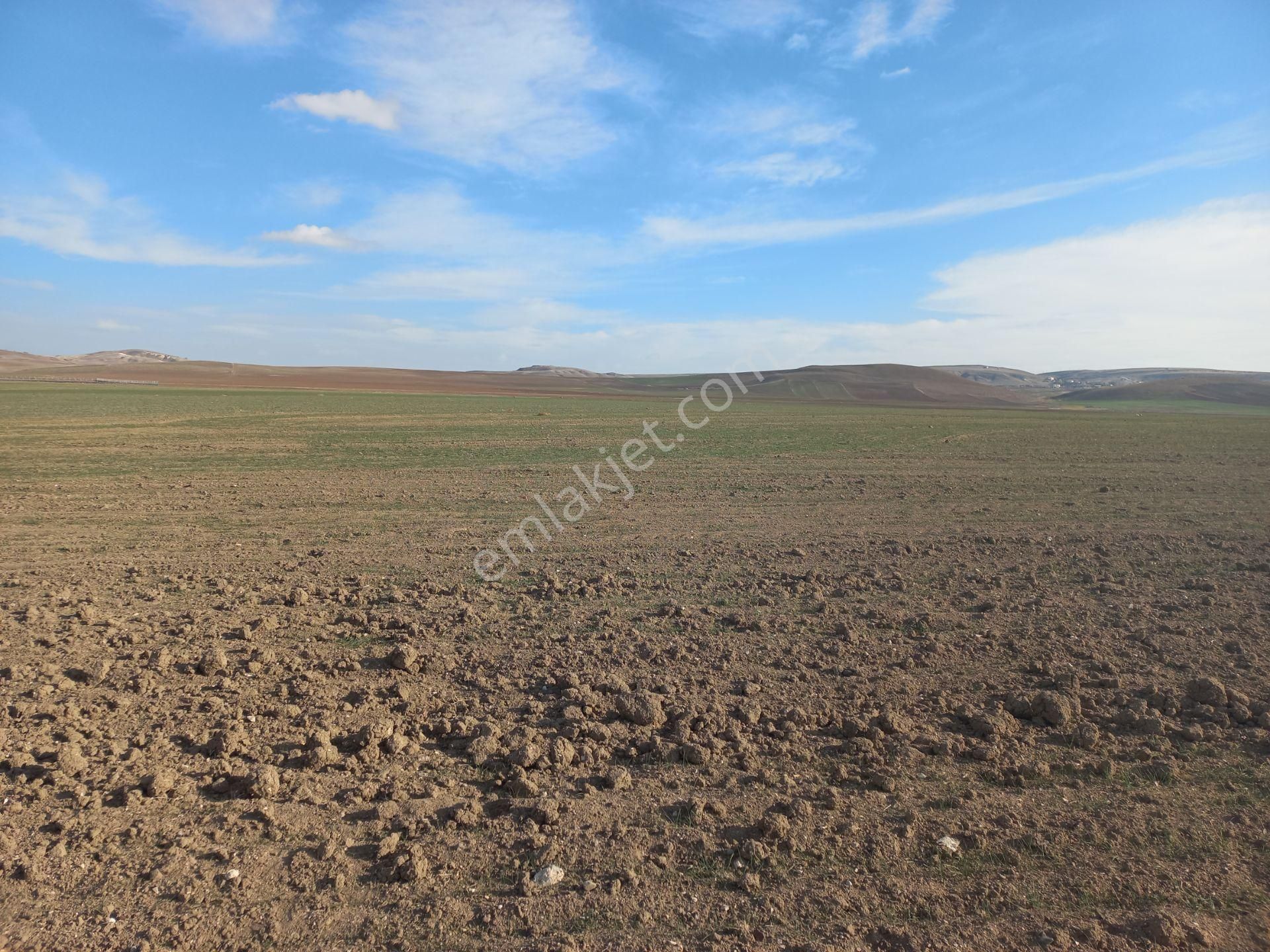 Gölbaşı Koparan Satılık Tarla Satılık Arsa Koparan Mah. Gölbaşı Ankara